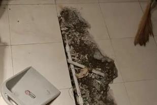 平鲁卫生间漏水检测电话